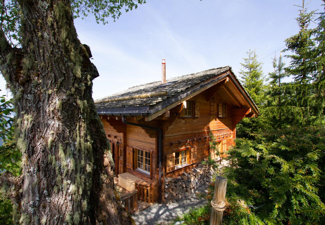 Chalet Ibex in Verbier im Hameau de Clambin Chalet Ibex in Verbier außen