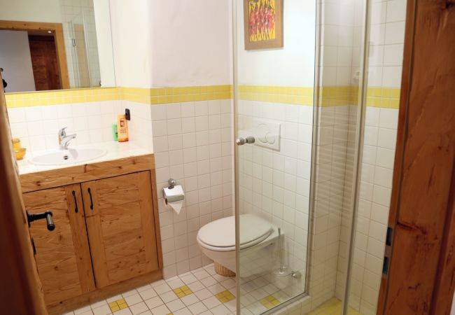 Apartment in Verbier - Victoria 110***** Apartment in Verbier - Victoria 110*****