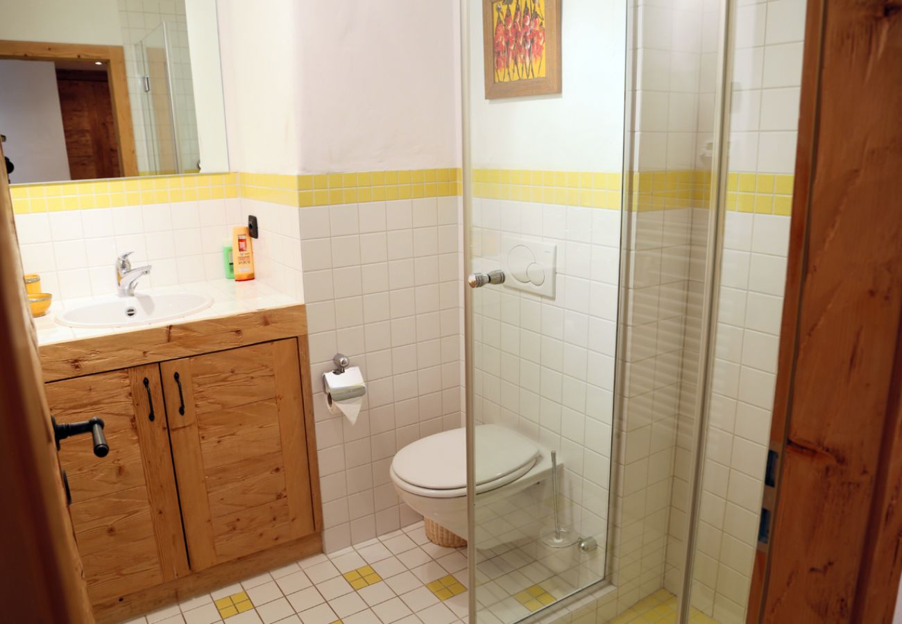 Apartment in Verbier - Victoria 110***** Apartment in Verbier - Victoria 110*****