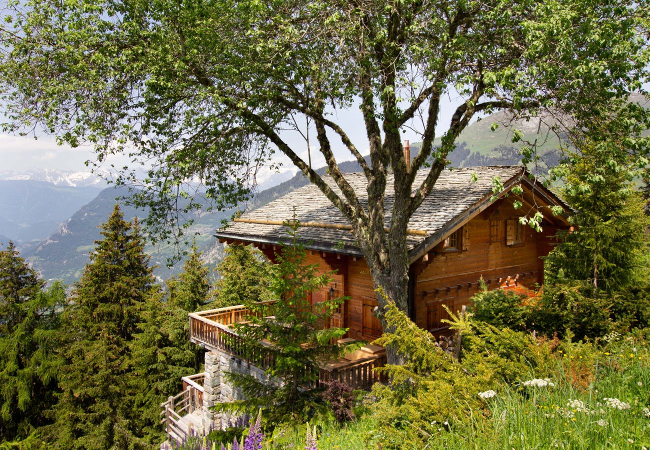 Chalet Ibex in Verbier - Hameau de Clambin Facade