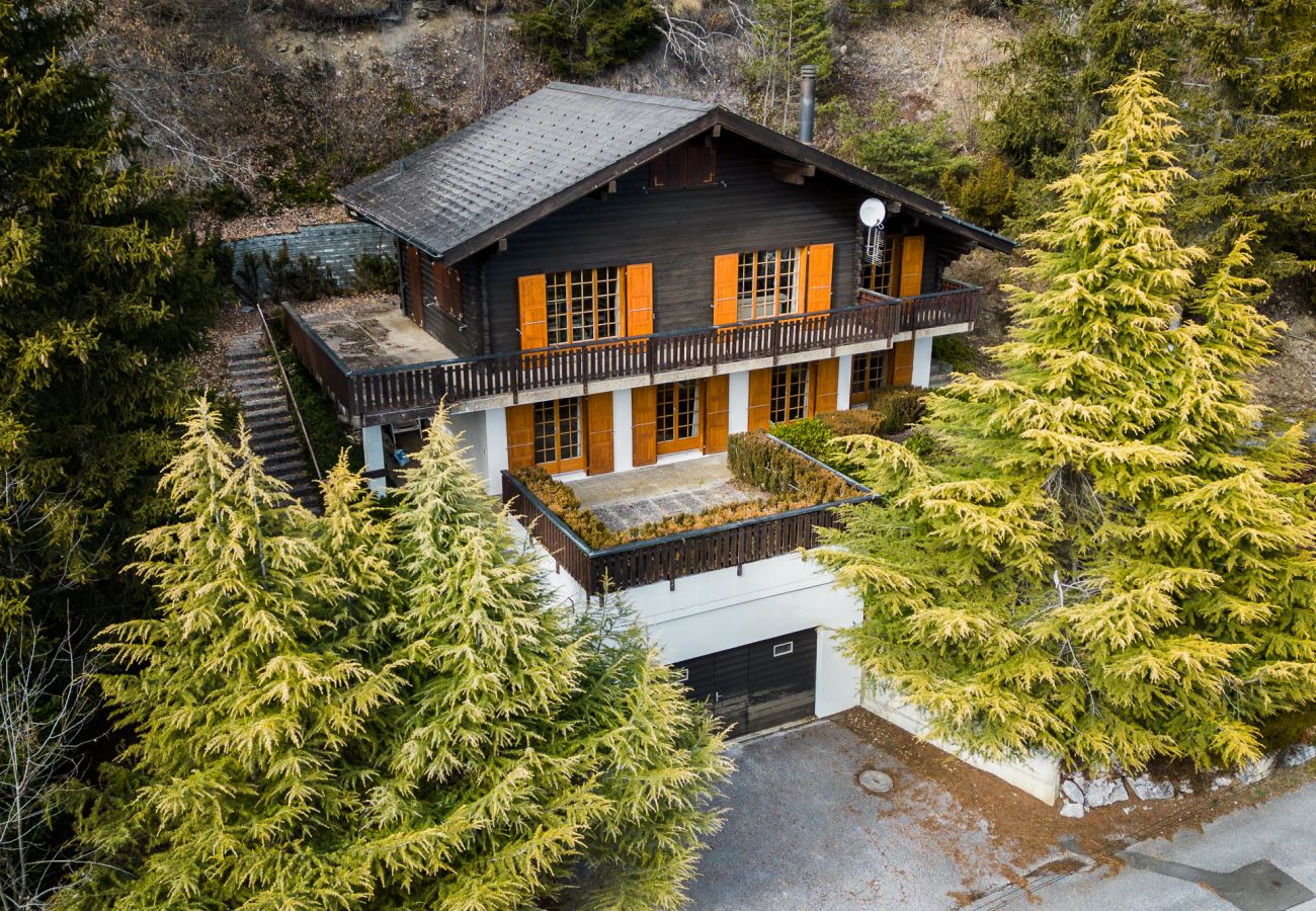 Villa in Aven - Chalet Aven