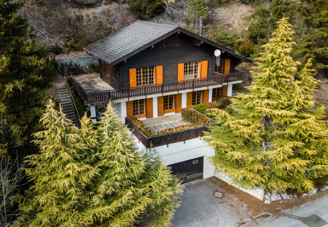 Chalet en Aven - Chalet Aven