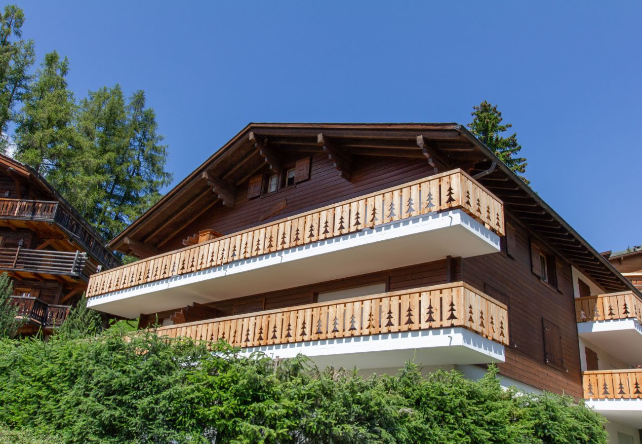 Appartement à Verbier - Bouvreuil 213*** Appartement à Verbier - Bouvreuil 213***