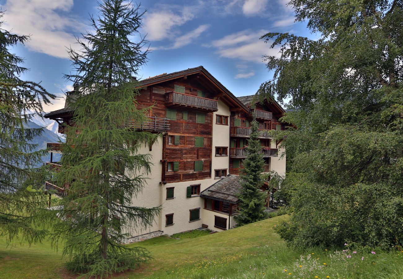 Appartement à Verbier - Les Mélèzes 115**** Appartement à Verbier - Les Mélèzes 115****