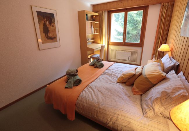 Appartement à Verbier - Mondzeu F55*** Appartement à Verbier - Mondzeu F55***