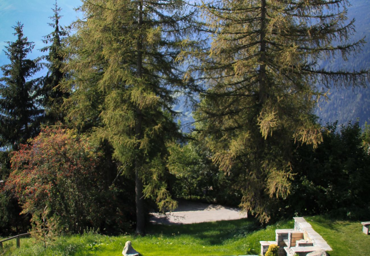 Chalet à Verbier - Chalet Norjeanne**** Chalet à Verbier - Chalet Norjeanne****