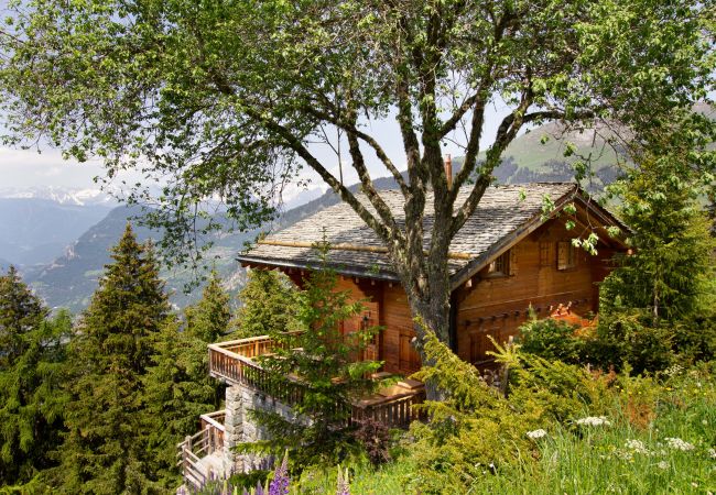 Chalet à Verbier - Chalet Ibex**** Chalet à Verbier - Chalet Ibex****