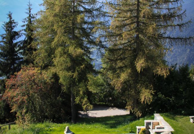 Chalet à Verbier - Chalet Norjeanne**** Chalet à Verbier - Chalet Norjeanne****